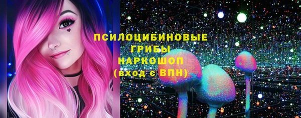 амф Надым
