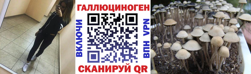 Псилоцибиновые грибы Magic Shrooms  Монино 
