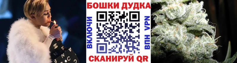 Бошки Шишки сатива  закладки  Монино 